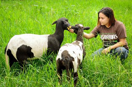 Capacitação técnica e aprimoramento preparam para o mercado