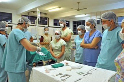 Pós em cirurgia animal contribui com a castração humanitária