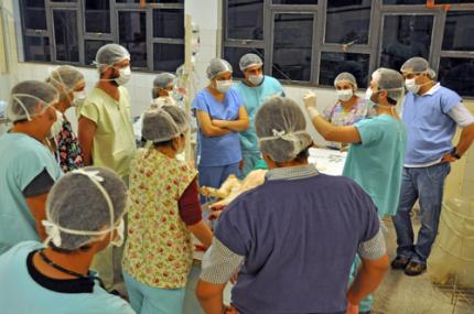 Pós em cirurgia animal contribui com a castração humanitária
