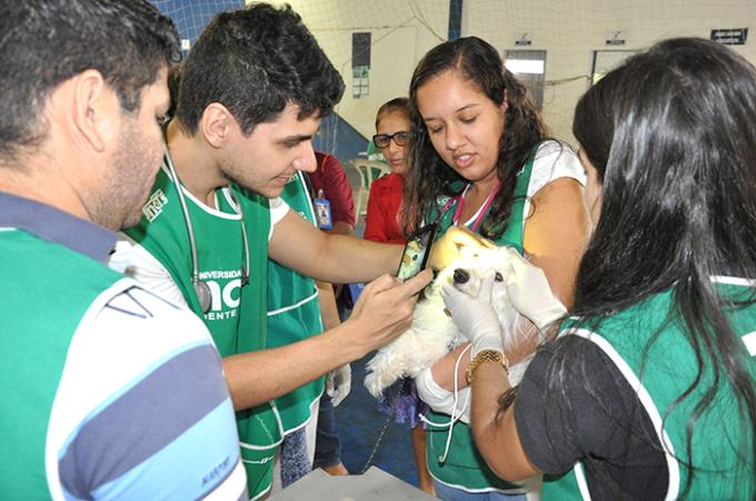 Estudantes de Enfermagem organizam ação sobre saúde animal