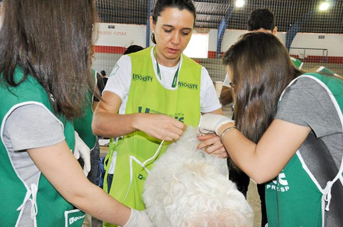 Diretora Gláucia ao acompanhar e orientar os alunos