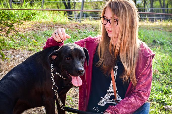 Afilhado de 4 Patas: proposta aproxima acadêmicos e cães