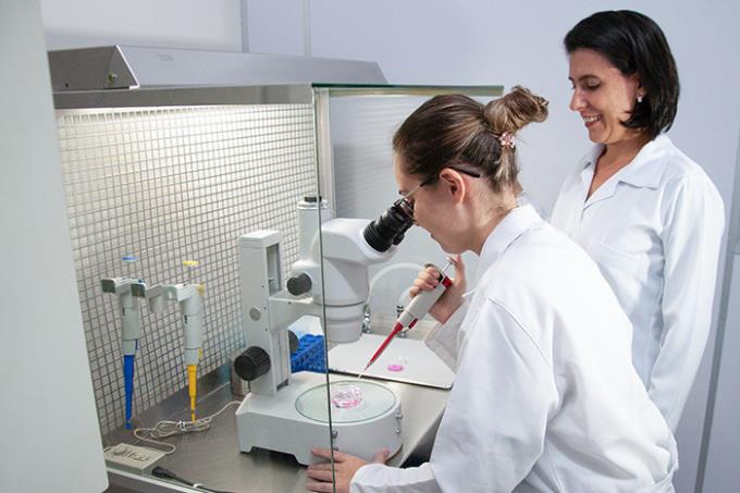Laboratório de Produção In Vitro de Embriões (Pive) possibilita ensino de excelência na área de biotecnologia da reprodução