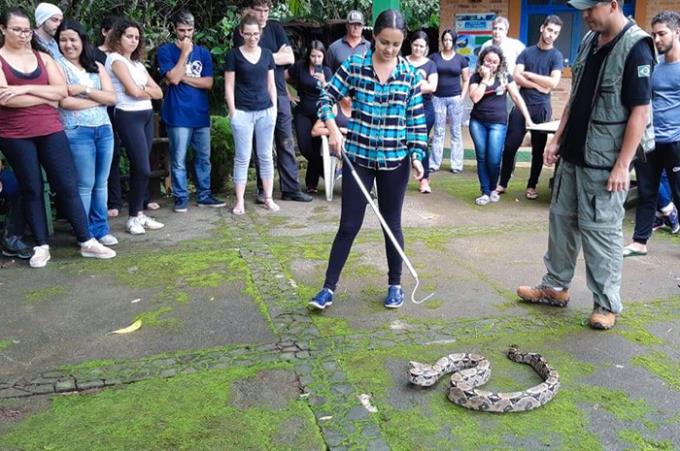 Manejo de animais da fauna silvestre como serpentes, lagartos, aves de rapina e aranhas