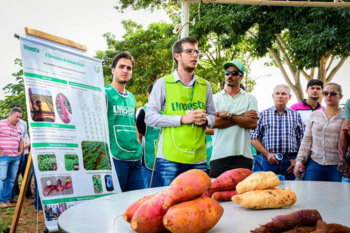 Batata-doce em alta: evento reúne pesquisadores e produtores