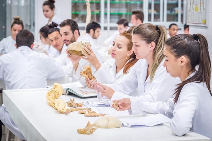 Laboratórios de Anatomia Humana utilizados por todos os cursos de saúde já receberam mais de R$ 1 milhão em investimentos