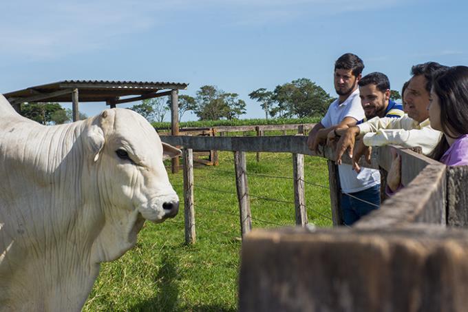 Zootecnia Unoeste é o único curso particular do Brasil com 5 estrelas pelo Guia da Faculdade na área
