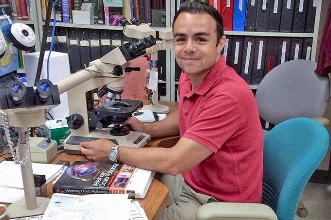 Ex-alunos da veterinária atuam no mercado internacional