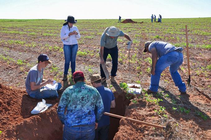 Estudo pretende indicar modelo para replicar na agropecuária