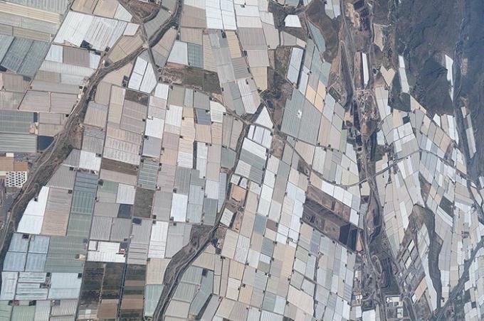 Vista parcial do aglomerado de estufas para produção agrícola