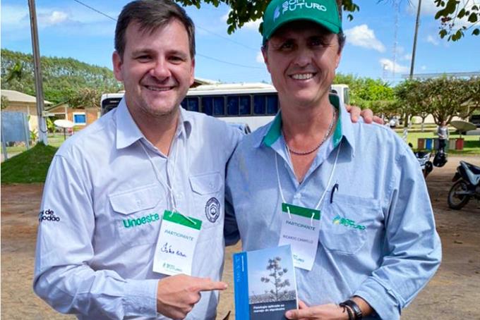 Cadeia produtiva do algodão é contemplada com boletim P&D