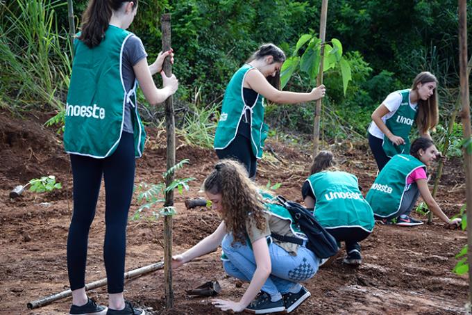 Plantio de árvores fez parte do Trote Sustentável