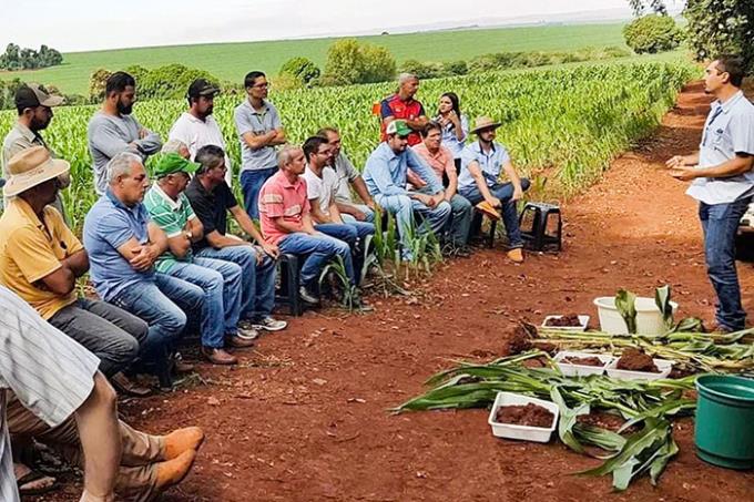 Dr. Eduardo Mazzuchelli em dia de campo do IDR, no Paraná