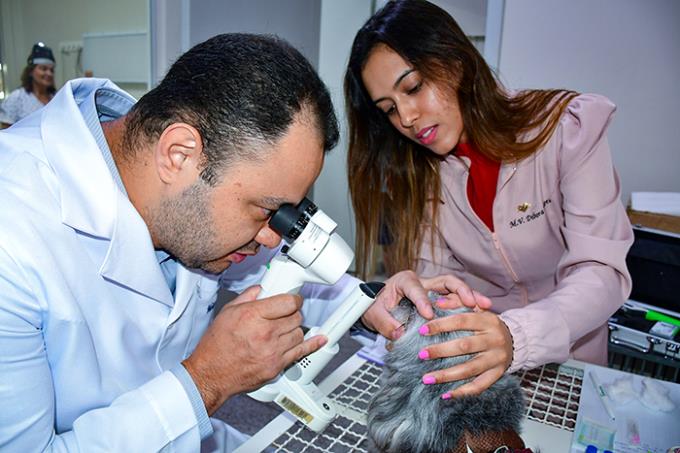 Médicos veterinários doutorandos Denis e Débora em triagem de animal para a pesquisa
