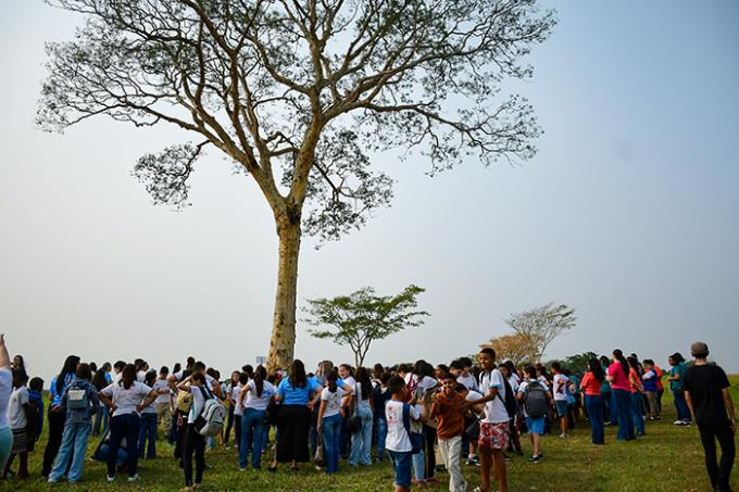 Evento faz chover 2 milhões de sementes de árvores nativas