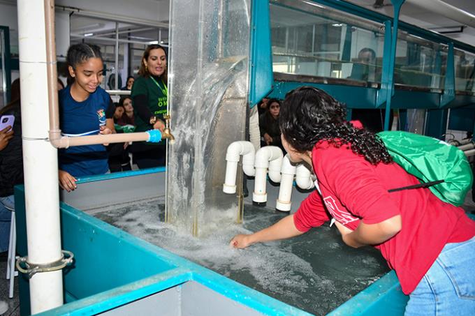 Programa Meninas na Stem recebe 229 participantes em 2025