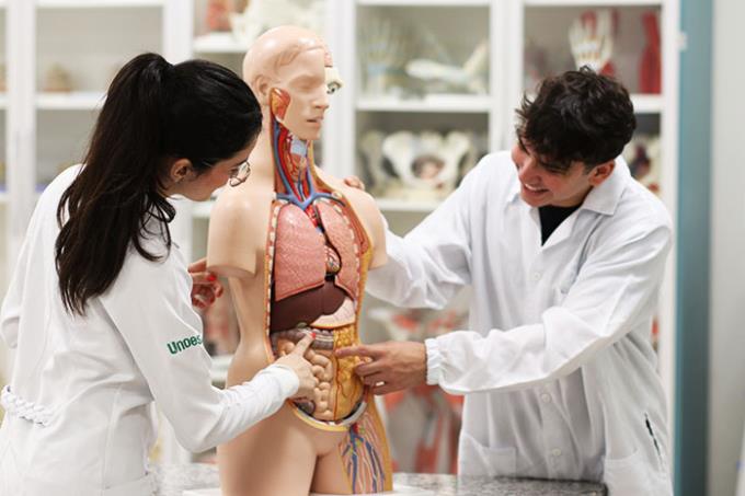 Unoeste oferece vagas por meio da Prova On-line