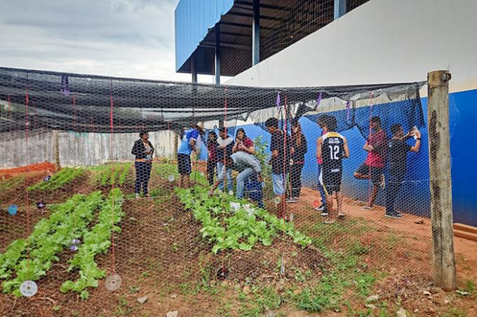 Horta escolar: a proposta é para que se torne referência em agroecologia