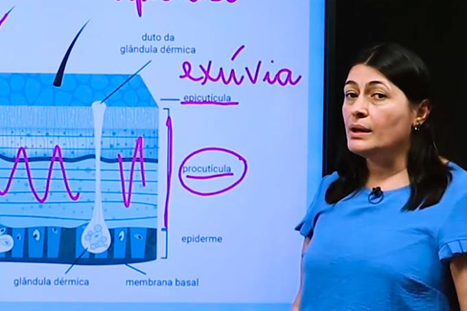 Aulas em vídeo são gravadas por professores da Unoeste