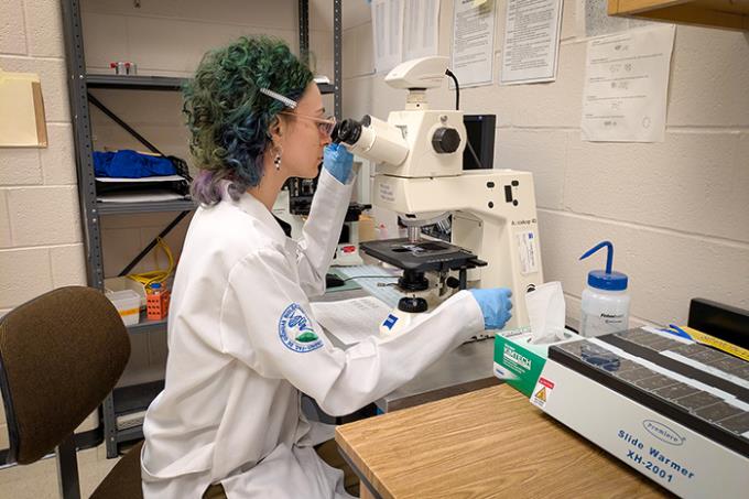 Doutorado sanduíche nos EUA ocorre em parceria de alto nível