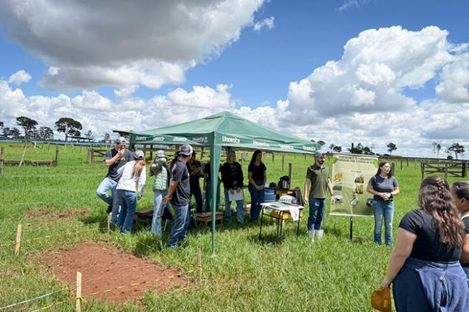 Prática no campo fortalece formação em Medicina Veterinária