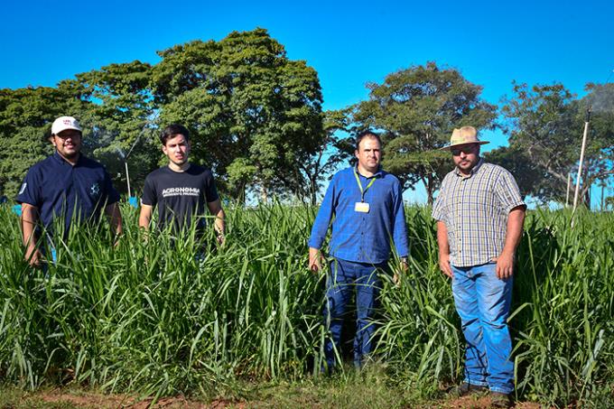 Cristian, Arthur, Dr. Tiago e Marcos estão entre os envolvidos nos estudos