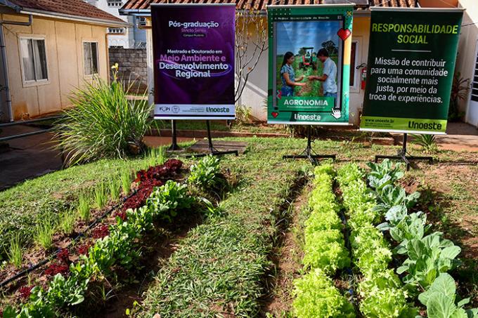 Canteiros implantados pelo projeto de horta agroecológica na Vila Dignidade, no Humberto Salvador