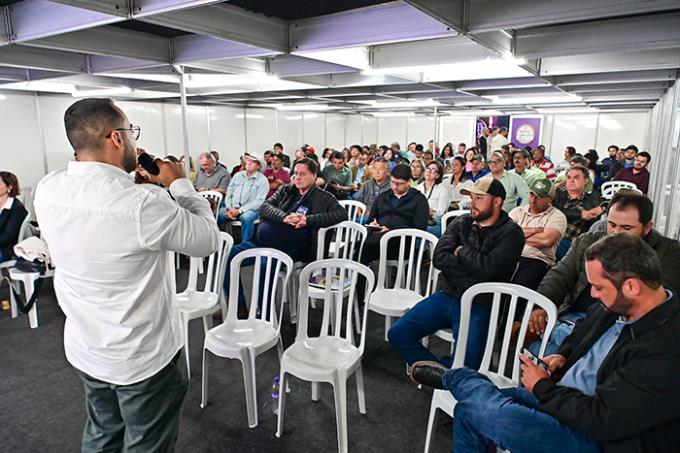 Manejo adequado eleva qualidade da produção de batata-doce