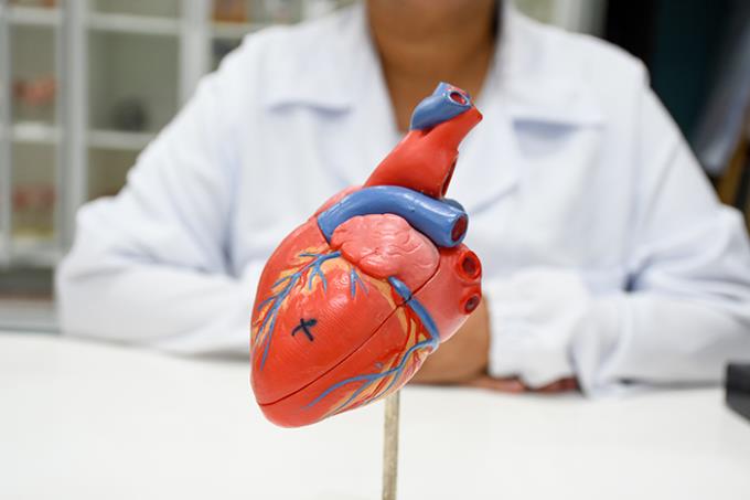 Prevenção cardiovascular exige atenção aos fatores de risco