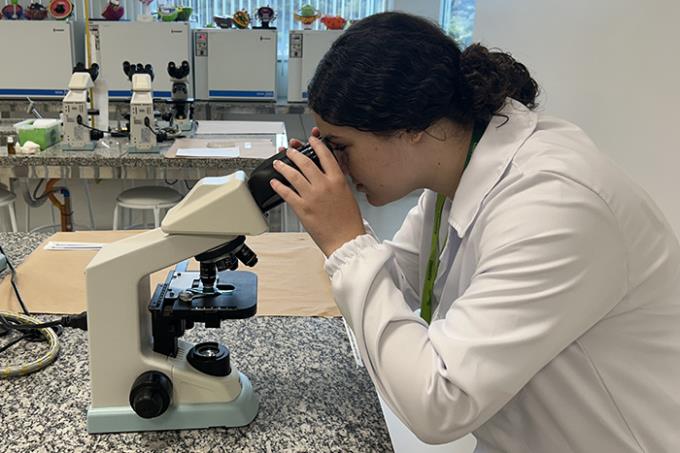 Exames de sangue revelam muito além dos resultados