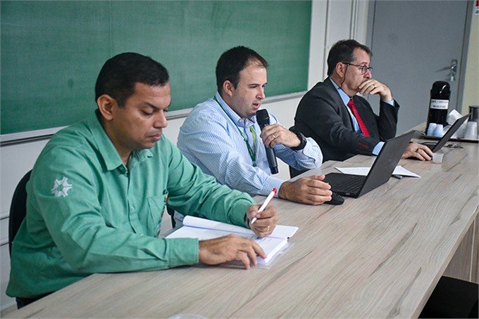 Evidências indicam condições ideais às sementes forrageiras