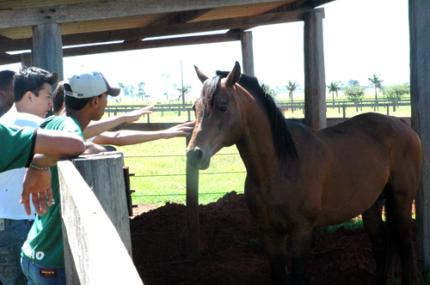 Estudantes conhecem cotidiano da Fazenda Experimental  