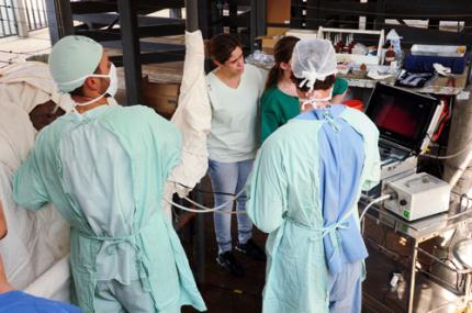 Laparoscopia é nova técnica usada pelo Hospital Veterinário
