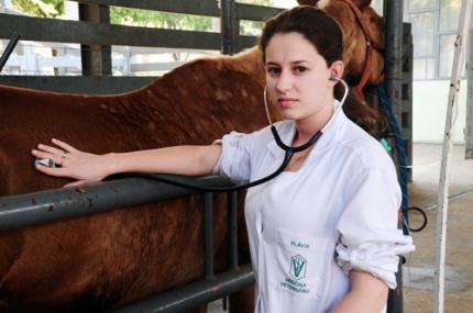 Laparoscopia é nova técnica usada pelo Hospital Veterinário