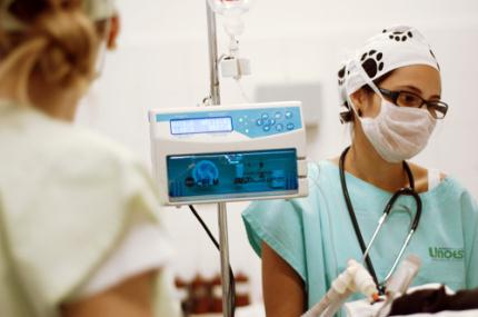 Hospital Veterinário retoma atividades nesta segunda (28)
