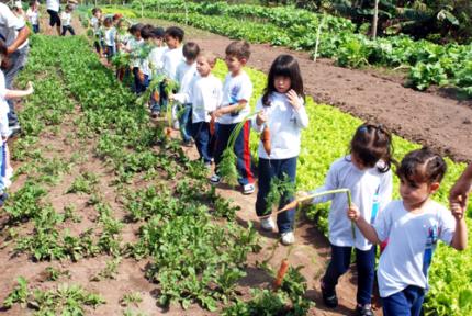 Programa +Unoeste recebe alunos do ensino infantil ao médio