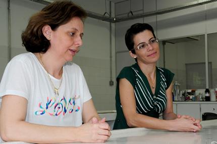 Estudo avalia restrição à germinação de sementes de pastagem