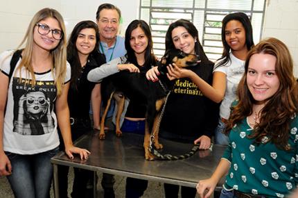 Ação solidária da Medicina Veterinária faz doações de cães