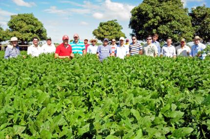 Pesquisador acredita em revolução na produção de alimentos