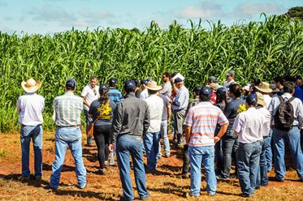 Dia de Campo traz alternativas para o produtor rural