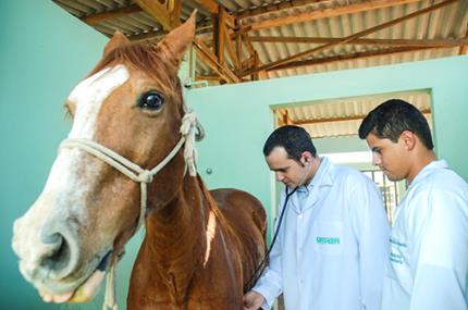 Veterinária prestará serviços gratuitos esta semana