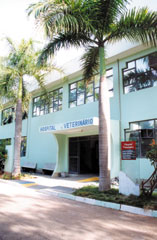 Hospital Veterinário: mais de 400 atendimentos por mês