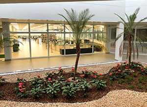 Paisagismo em área do novo campus de Jaú, próxima à biblioteca, reforça todo o requinte e beleza do prédio.